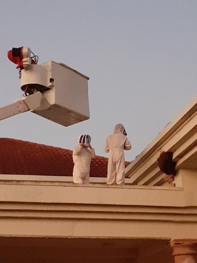 Two beekeepers standing on a roof