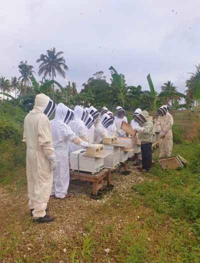 A group of beekeepers gather around hives
