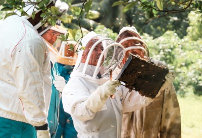 A beekeeper holds up and inspects a slab of honey with other beekeepers in the background