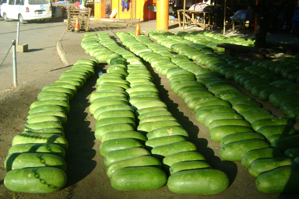 blog3 watermelons web