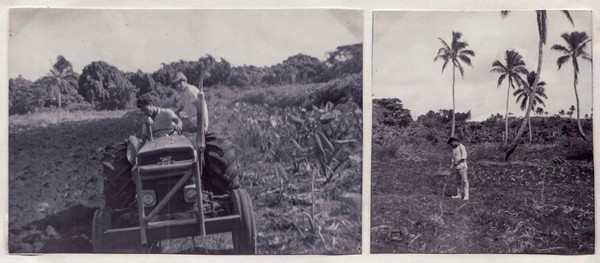 Teaching a student how to plough