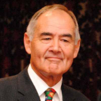 John Bowis Council 2017