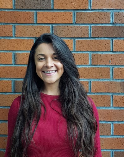 VSA cristine werle